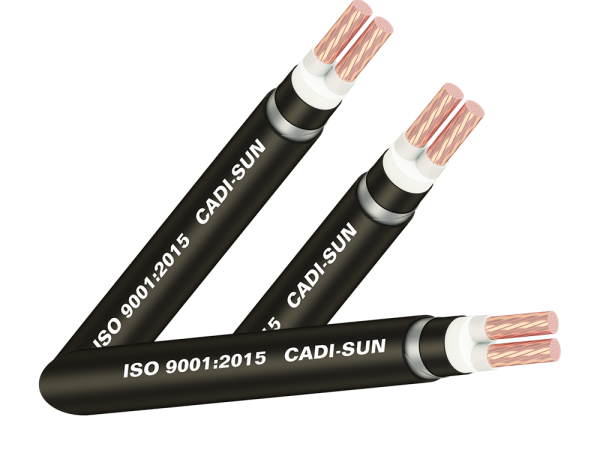 Cáp đồng ngầm 2 ruột - DSTA 2x