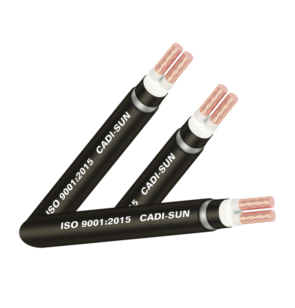Cáp đồng ngầm 2 ruột - DSTA 2x
