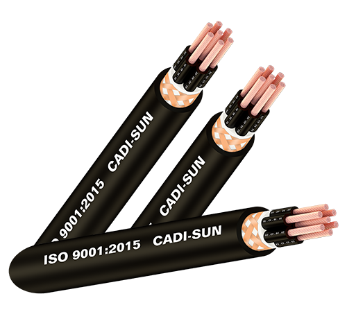 Cáp điều khiển có lưới chống nhiễu - DVV/SB