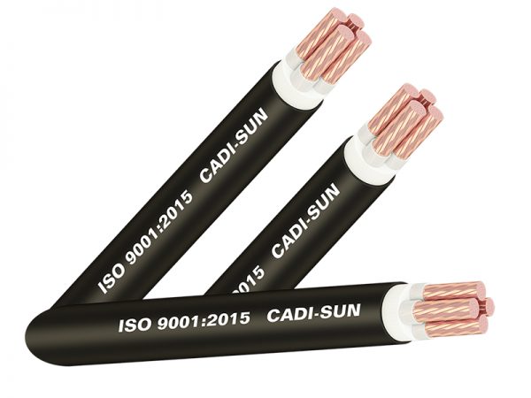 Cáp treo CXV 4x, cách điện XLPE, vỏ PVC