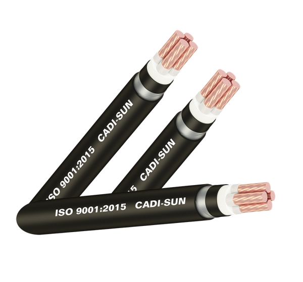 Cáp đồng ngầm 4 ruột - DSTA 4x