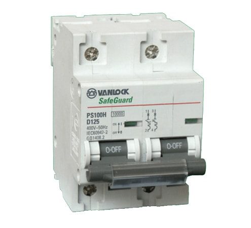 MCB 2P 80A 10KA PS100H/2/D80